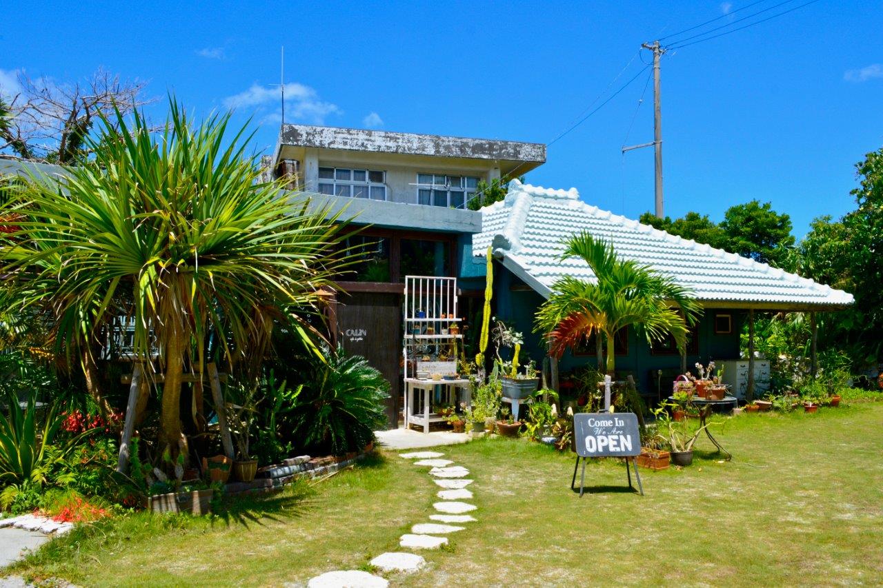 自然の中から溢れる存在感 Calin カラン カフェ ザッカ カフェ Nagos Okinawa Web Magazine